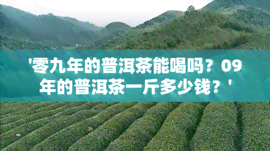 '零九年的普洱茶能喝吗？09年的普洱茶一斤多少钱？'