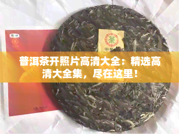 普洱茶开照片高清大全：精选高清大全集，尽在这里！