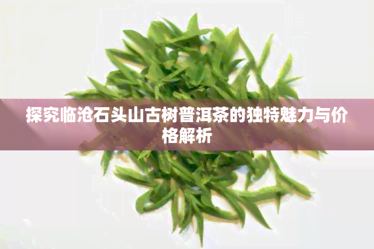 探究临沧石头山古树普洱茶的独特魅力与价格解析