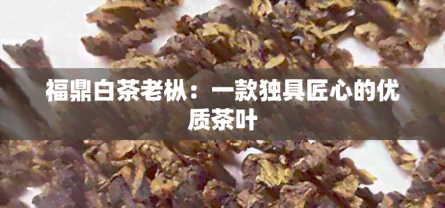 福鼎白茶老枞：一款独具匠心的优质茶叶