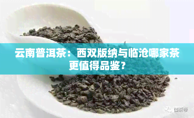 云南普洱茶：西双版纳与临沧哪家茶更值得品鉴？