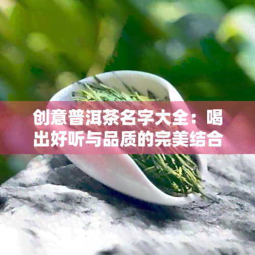 创意普洱茶名字大全：喝出好听与品质的完美结合