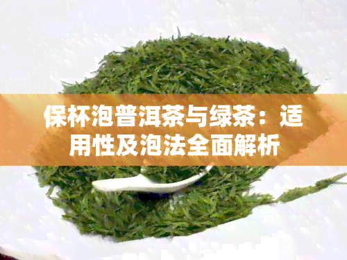 保杯泡普洱茶与绿茶：适用性及泡法全面解析