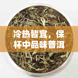 冷热皆宜，保杯中品味普洱熟茶的独特魅力