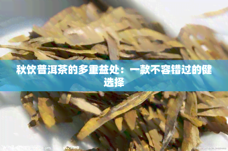 秋饮普洱茶的多重益处：一款不容错过的健选择