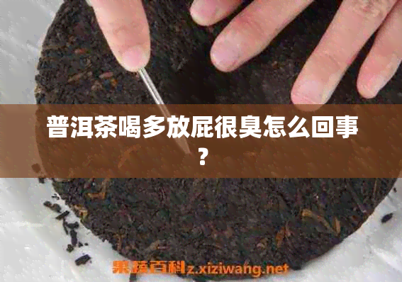 普洱茶喝多放屁很臭怎么回事？