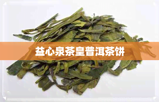 益心泉茶皇普洱茶饼