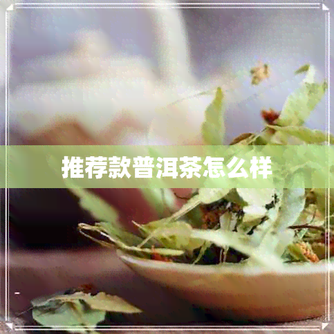 推荐款普洱茶怎么样