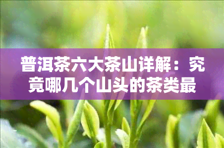 普洱茶六大茶山详解：究竟哪几个山头的茶类更具特色？