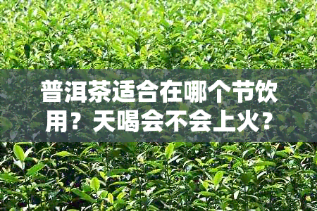 普洱茶适合在哪个节饮用？天喝会不会上火？冬天喝又有什么好处？