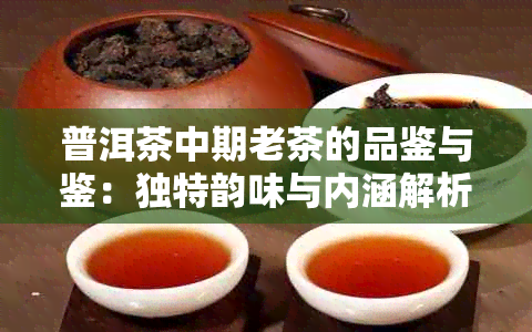 普洱茶中期老茶的品鉴与鉴：独特韵味与内涵解析