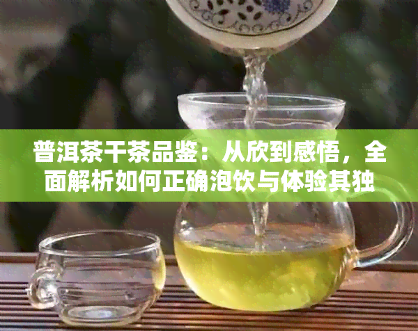 普洱茶干茶品鉴：从欣到感悟，全面解析如何正确泡饮与体验其独特韵味