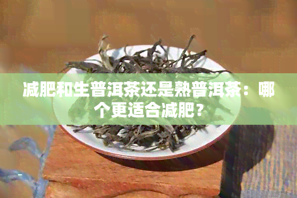 减肥和生普洱茶还是熟普洱茶：哪个更适合减肥？