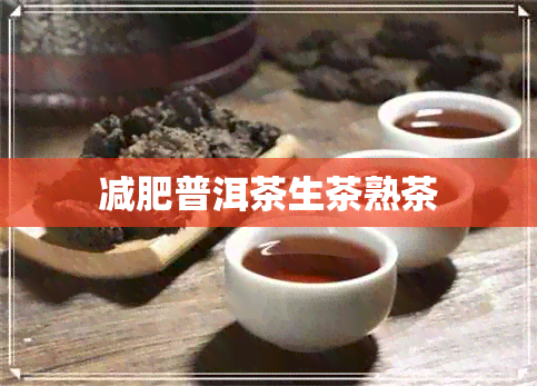 减肥普洱茶生茶熟茶