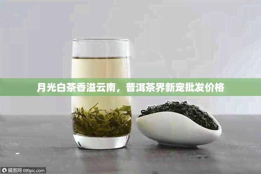 月光白茶香溢云南，普洱茶界新宠批发价格