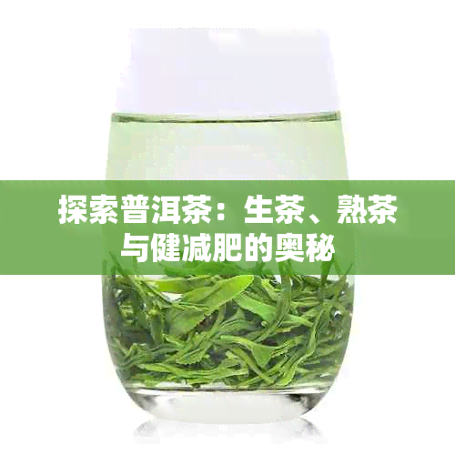 探索普洱茶：生茶、熟茶与健减肥的奥秘