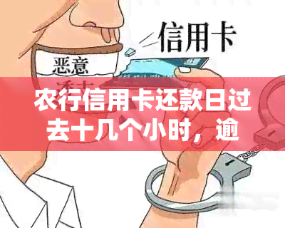 农行信用卡还款日过去十几个小时，逾期吗？