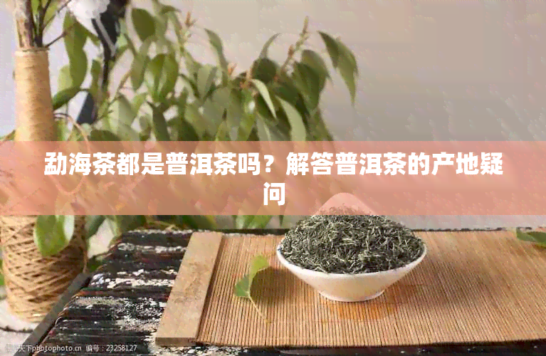 勐海茶都是普洱茶吗？解答普洱茶的产地疑问