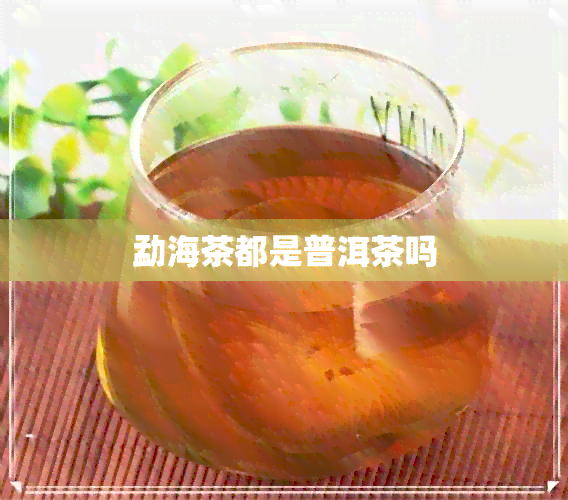 勐海茶都是普洱茶吗