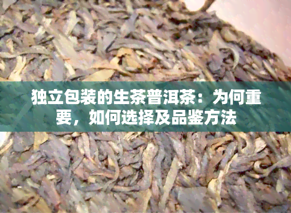 独立包装的生茶普洱茶：为何重要，如何选择及品鉴方法