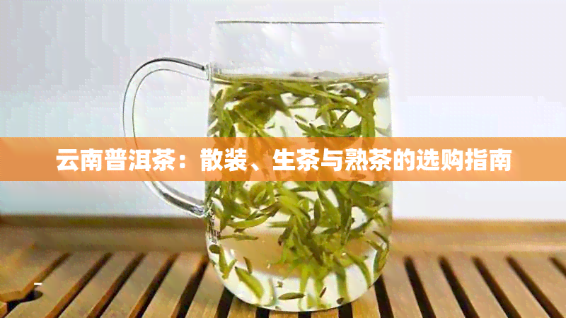 云南普洱茶：散装、生茶与熟茶的选购指南