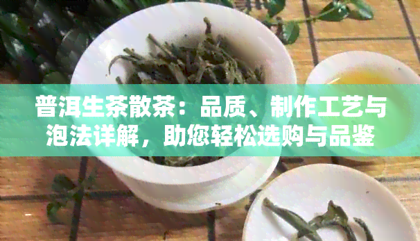 普洱生茶散茶：品质、制作工艺与泡法详解，助您轻松选购与品鉴