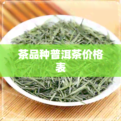 茶品种普洱茶价格表