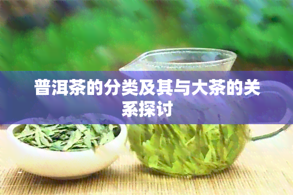 普洱茶的分类及其与大茶的关系探讨