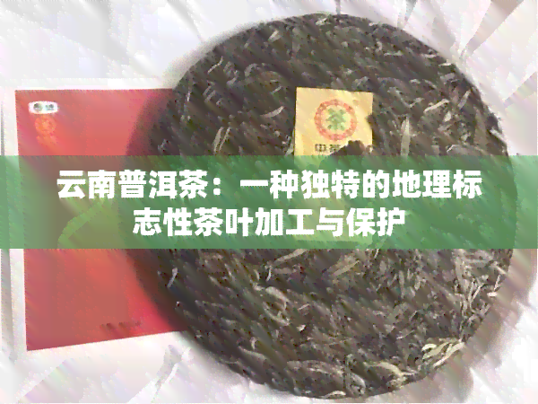 云南普洱茶：一种独特的地理标志性茶叶加工与保护