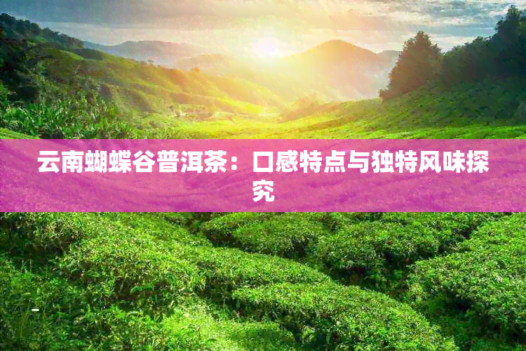 云南蝴蝶谷普洱茶：口感特点与独特风味探究