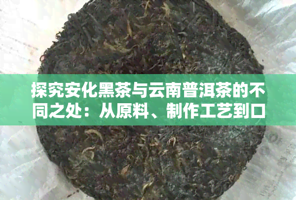 探究安化黑茶与云南普洱茶的不同之处：从原料、制作工艺到口感的比较分析