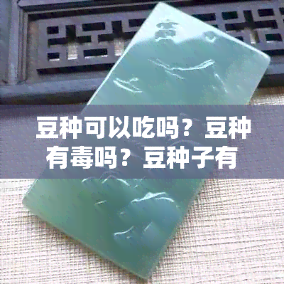 豆种可以吃吗？豆种有吗？豆种子有营养吗？