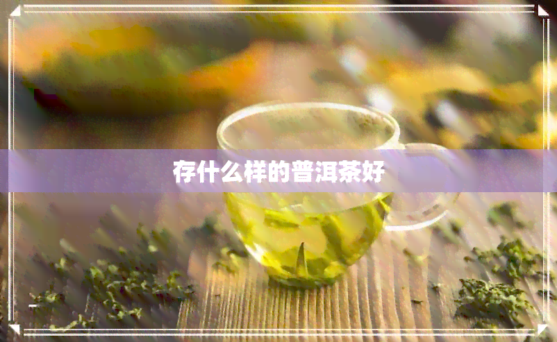 存什么样的普洱茶好