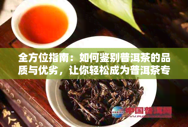 全方位指南：如何鉴别普洱茶的品质与优劣，让你轻松成为普洱茶专家