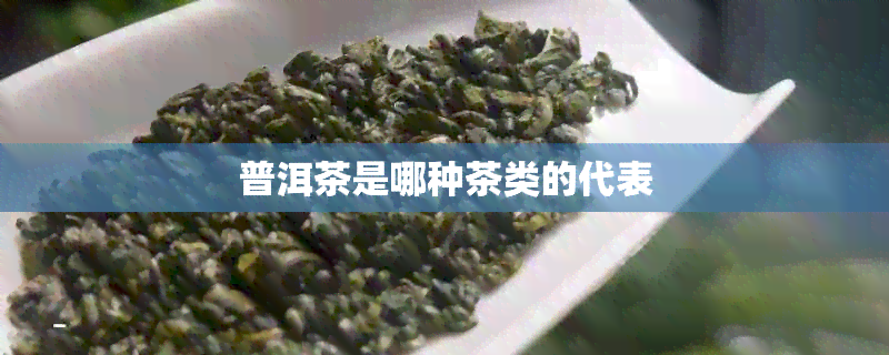 普洱茶是哪种茶类的代表