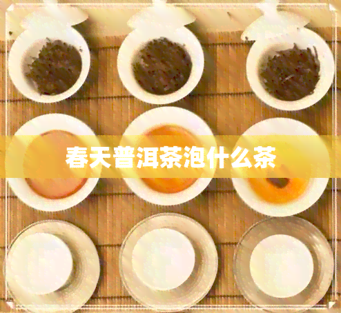 春天普洱茶泡什么茶