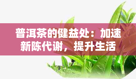 普洱茶的健益处：加速新陈代谢，提升生活质量