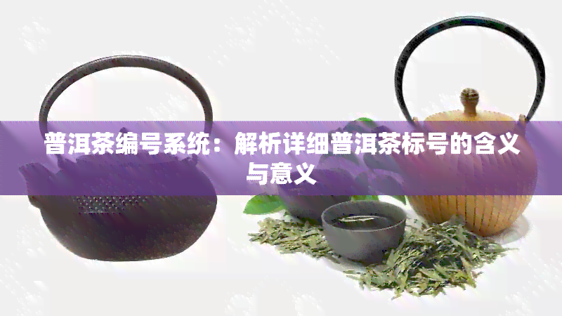 普洱茶编号系统：解析详细普洱茶标号的含义与意义