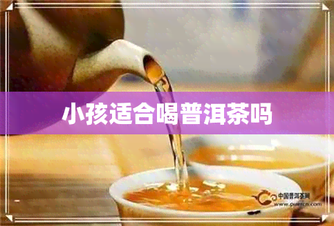 小孩适合喝普洱茶吗