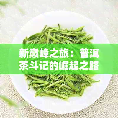 新巅峰之旅：普洱茶斗记的崛起之路