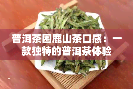 普洱茶困鹿山茶口感：一款独特的普洱茶体验