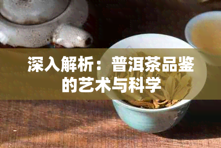 深入解析：普洱茶品鉴的艺术与科学