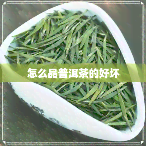 怎么品普洱茶的好坏