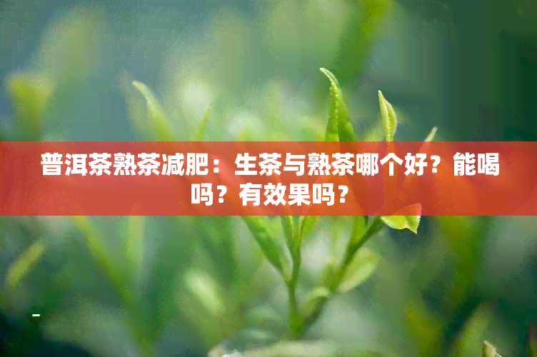 普洱茶熟茶减肥：生茶与熟茶哪个好？能喝吗？有效果吗？