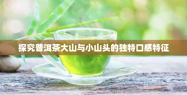 探究普洱茶大山与小山头的独特口感特征