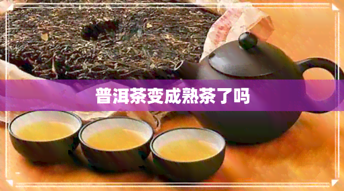 普洱茶变成熟茶了吗