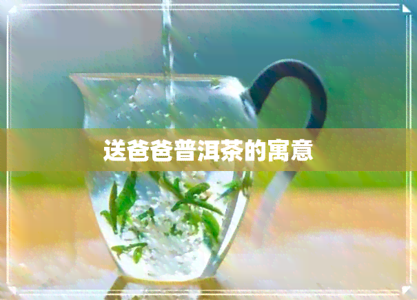 送爸爸普洱茶的寓意