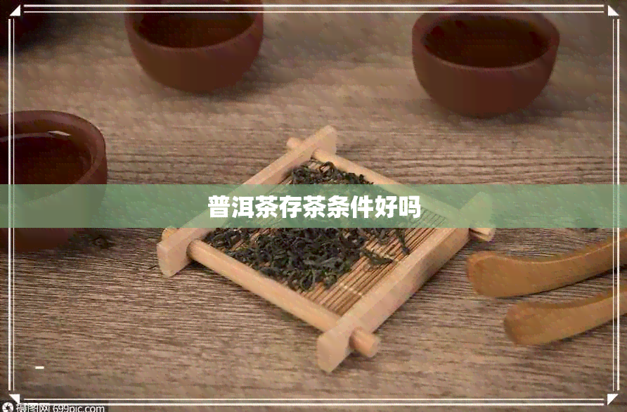 普洱茶存茶条件好吗