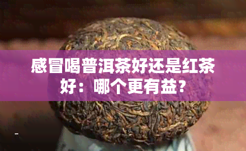 感冒喝普洱茶好还是红茶好：哪个更有益？