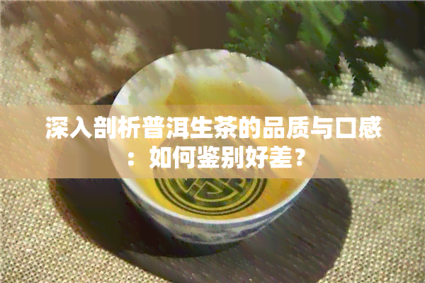 深入剖析普洱生茶的品质与口感：如何鉴别好差？